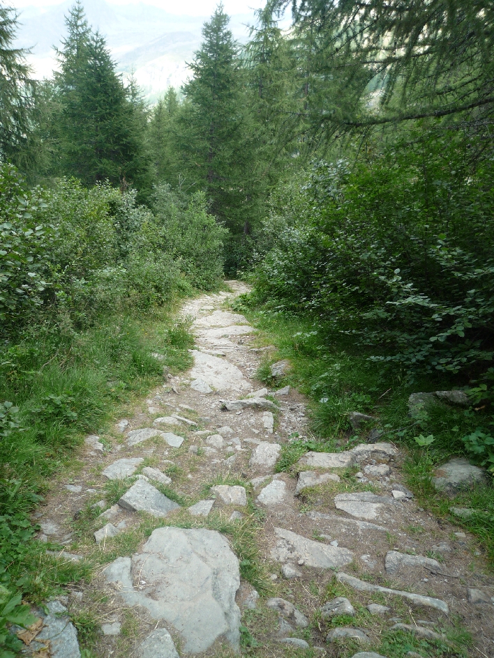 Abfahrt Colle del Nivolet4.jpg